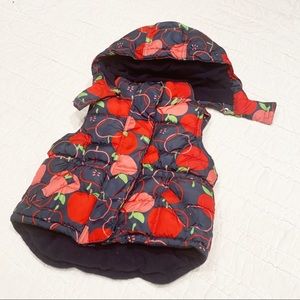 Apple Vest with Removable Hood